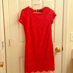 Women’s size 2 lace knee length dress